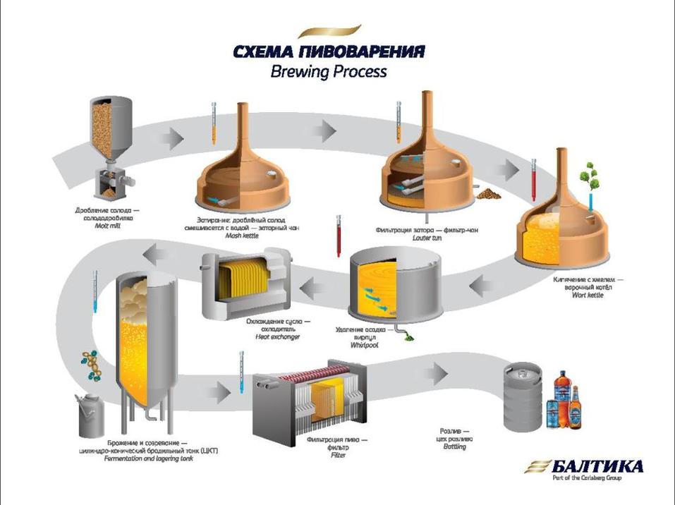 Этапы пивоварения схема