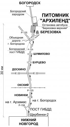 Автобус березовка лысьва. Архиленд Нижний Новгород. Архиленд Нижний Новгород питомник Березовка. Архиленд питомник Богородск каталог растений. Архиленд Нижний Новгород питомник Березовка предлагаемые растения.