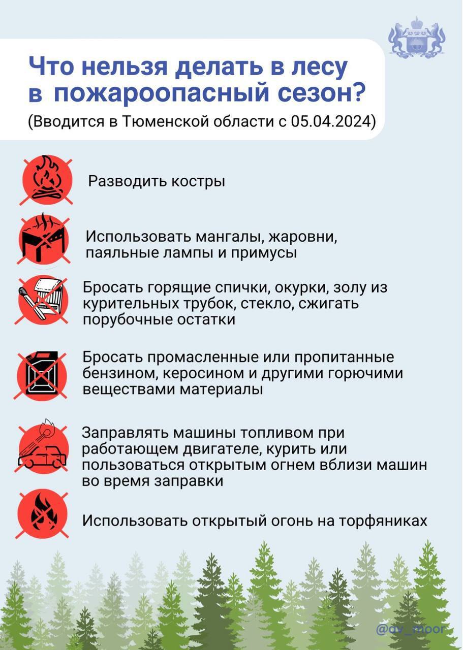 В Тюменской области объявлено о начале пожароопасного сезона | Деловой  квартал DK.RU — новости Тюмени