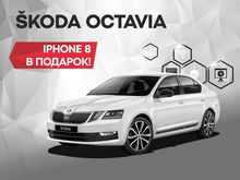 Медведь-Восток дарит IPHONE 8 при покупке SKODA OCTAVIA