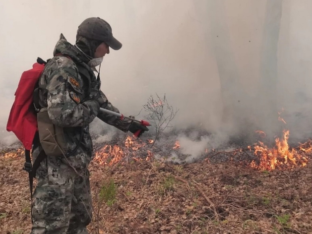 Область снова накроет смогом. Минимум до 2 августа