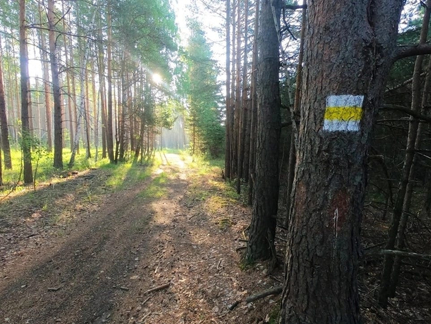 В 2ГИС теперь можно найти велопешеходный турмаршрут «Сысертская сотня»