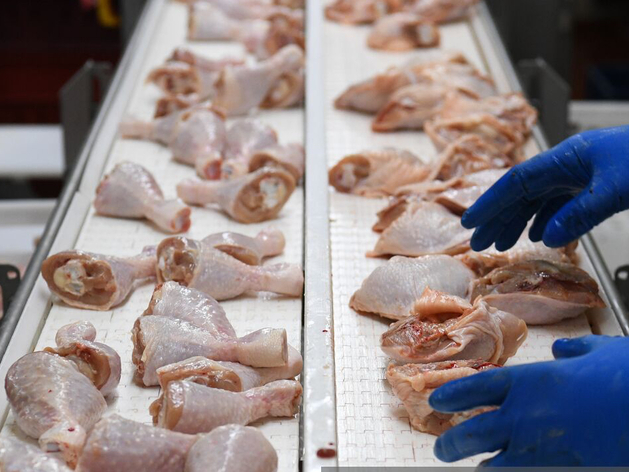 Жесткие меры. Минсельхоз предлагает запретить экспорт мяса птицы