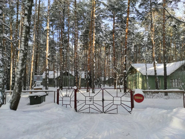 Территорию Шарташа, где стоят дачи академиков, все-таки отдают под КРТ