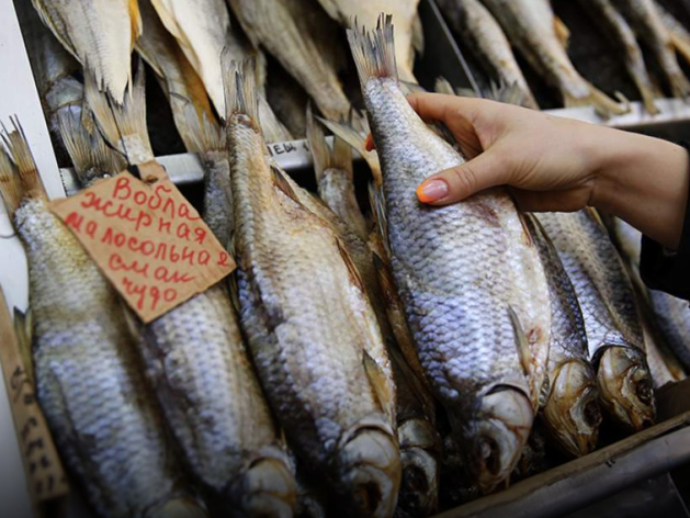 Астраханская вобла на грани исчезновения. В России запретили вылов знаменитой рыбы 

