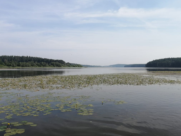 Ревдинское водохранилище