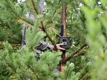 В лесах Свердловской области установят фотоловушки