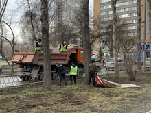 В УрФО трудовым мигрантам рада только Свердловская область